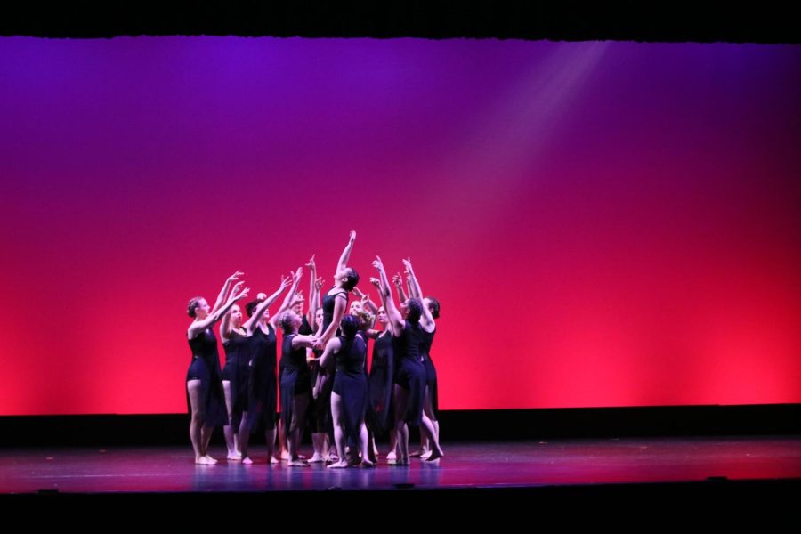 Dance Visions sweeps competition