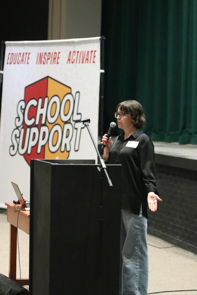 Hope is Alive speaker Ann Sandager shares her experience with drug addiction at first Hope is Alive discussion.