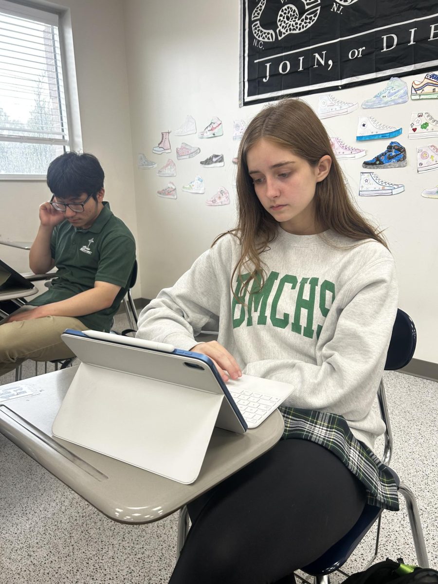 Junior Paige Ihrig studies AP Art History. Ihrig is currently taking six AP classes. 